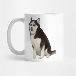 Husky meme Mug